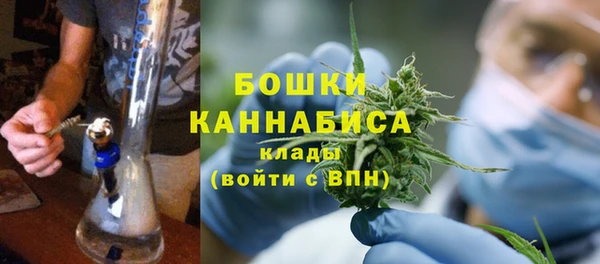 мяу мяу мука Михайловск